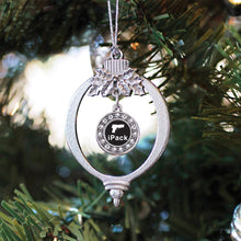 Load image into Gallery viewer, iPack Circle Holiday Ornament